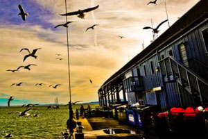 自动攻击网站工具下载